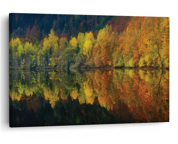 Multicolor_16_X_24_Inch,_Pine_Wood_Framed_Canvas_Paintings_|_For_Home_Decor,_Ready_To_Wall_Hanging,_Premium_Painting_|_For_|_Bedroom,_Living_Room,_Office_Wall_Decoration_|_Wall_Art_Painting,_Ct1675