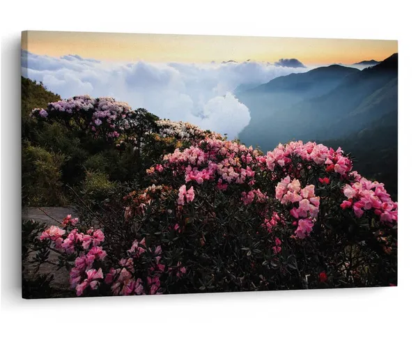 Multicolor_16_X_24_Inch,_Pine_Wood_Framed_Canvas_Paintings_|_For_Home_Decor,_Ready_To_Wall_Hanging,_Premium_Painting_|_For_|_Bedroom,_Living_Room,_Office_Wall_Decoration_|_Wall_Art_Painting,_Ct1677