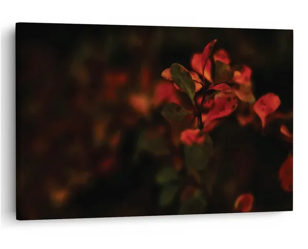 Multicolor_16_X_24_Inch,_Pine_Wood_Framed_Canvas_Paintings_|_For_Home_Decor,_Ready_To_Wall_Hanging,_Premium_Painting_|_For_|_Bedroom,_Living_Room,_Office_Wall_Decoration_|_Wall_Art_Painting,_Ct1679