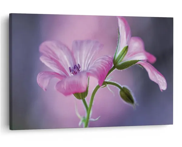 Multicolor_16_X_24_Inch,_Pine_Wood_Framed_Canvas_Paintings_|_For_Home_Decor,_Ready_To_Wall_Hanging,_Premium_Painting_|_For_|_Bedroom,_Living_Room,_Office_Wall_Decoration_|_Wall_Art_Painting,_Ct1680