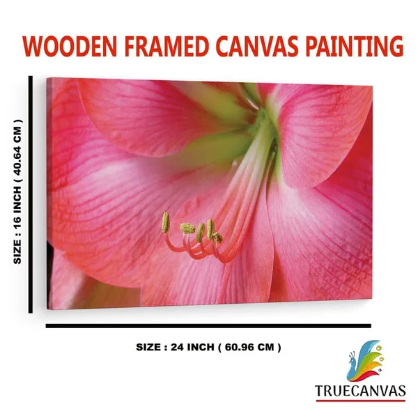 Multicolor_16_X_24_Inch,_Pine_Wood_Framed_Canvas_Paintings_|_For_Home_Decor,_Ready_To_Wall_Hanging,_Premium_Painting_|_For_|_Bedroom,_Living_Room,_Office_Wall_Decoration_|_Wall_Art_Painting,_Ct1687