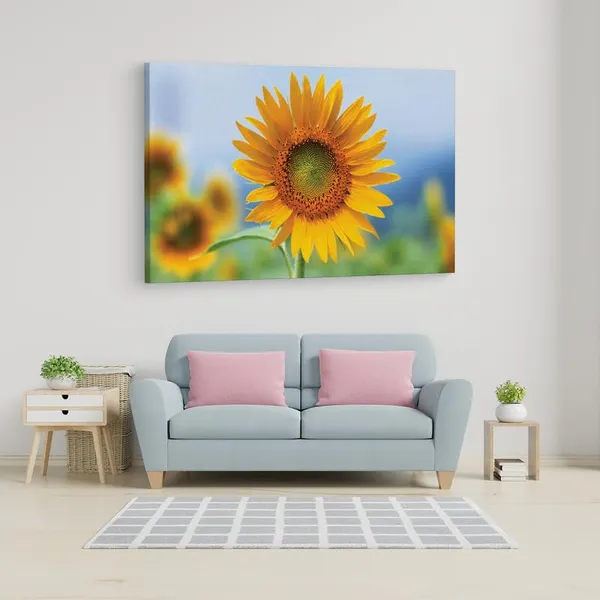 Multicolor_16_X_24_Inch,_Pine_Wood_Framed_Canvas_Paintings_|_For_Home_Decor,_Ready_To_Wall_Hanging,_Premium_Painting_|_For_|_Bedroom,_Living_Room,_Office_Wall_Decoration_|_Wall_Art_Painting,_Ct1692