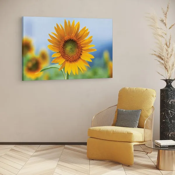 Multicolor_16_X_24_Inch,_Pine_Wood_Framed_Canvas_Paintings_|_For_Home_Decor,_Ready_To_Wall_Hanging,_Premium_Painting_|_For_|_Bedroom,_Living_Room,_Office_Wall_Decoration_|_Wall_Art_Painting,_Ct1692