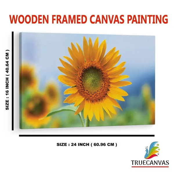 Multicolor_16_X_24_Inch,_Pine_Wood_Framed_Canvas_Paintings_|_For_Home_Decor,_Ready_To_Wall_Hanging,_Premium_Painting_|_For_|_Bedroom,_Living_Room,_Office_Wall_Decoration_|_Wall_Art_Painting,_Ct1692