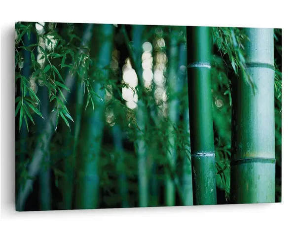 Multicolor_16_X_24_Inch,_Pine_Wood_Framed_Canvas_Paintings_|_For_Home_Decor,_Ready_To_Wall_Hanging,_Premium_Painting_|_For_|_Bedroom,_Living_Room,_Office_Wall_Decoration_|_Wall_Art_Painting,_Ct1693