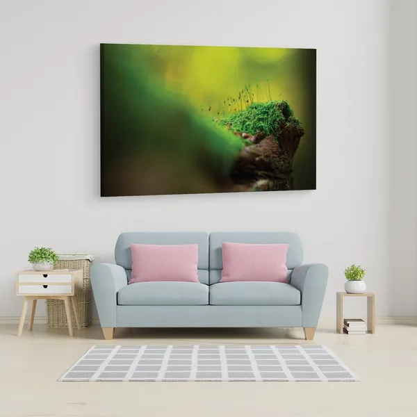 Multicolor_16_X_24_Inch,_Pine_Wood_Framed_Canvas_Paintings_|_For_Home_Decor,_Ready_To_Wall_Hanging,_Premium_Painting_|_For_|_Bedroom,_Living_Room,_Office_Wall_Decoration_|_Wall_Art_Painting,_Ct1697