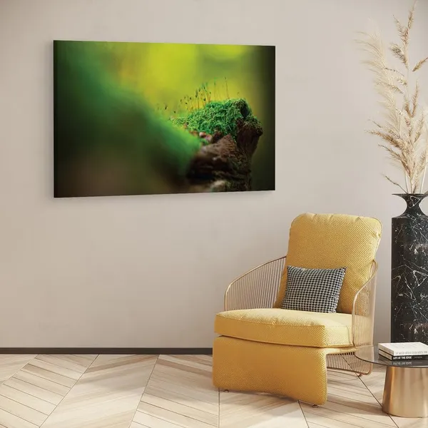 Multicolor_16_X_24_Inch,_Pine_Wood_Framed_Canvas_Paintings_|_For_Home_Decor,_Ready_To_Wall_Hanging,_Premium_Painting_|_For_|_Bedroom,_Living_Room,_Office_Wall_Decoration_|_Wall_Art_Painting,_Ct1697