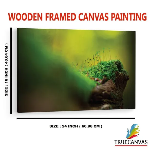 Multicolor_16_X_24_Inch,_Pine_Wood_Framed_Canvas_Paintings_|_For_Home_Decor,_Ready_To_Wall_Hanging,_Premium_Painting_|_For_|_Bedroom,_Living_Room,_Office_Wall_Decoration_|_Wall_Art_Painting,_Ct1697