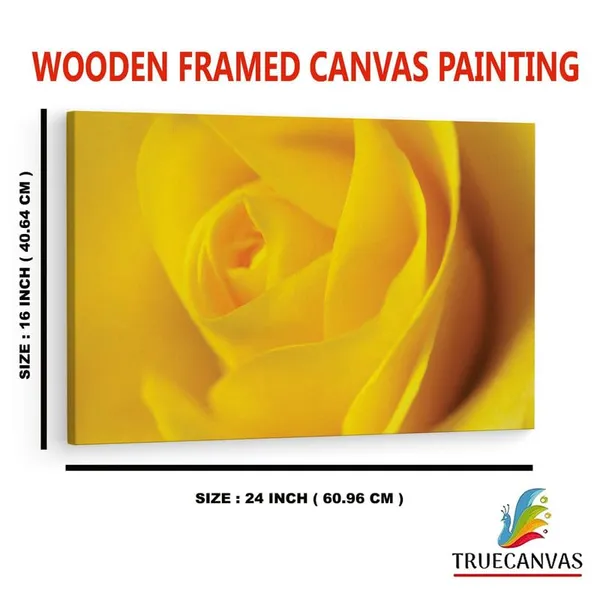 Multicolor_16_X_24_Inch,_Pine_Wood_Framed_Canvas_Paintings_|_For_Home_Decor,_Ready_To_Wall_Hanging,_Premium_Painting_|_For_|_Bedroom,_Living_Room,_Office_Wall_Decoration_|_Wall_Art_Painting,_Ct1698