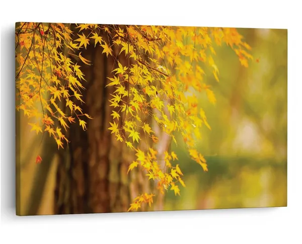 Multicolor_16_X_24_Inch,_Pine_Wood_Framed_Canvas_Paintings_|_For_Home_Decor,_Ready_To_Wall_Hanging,_Premium_Painting_|_For_|_Bedroom,_Living_Room,_Office_Wall_Decoration_|_Wall_Art_Painting,_Ct1701