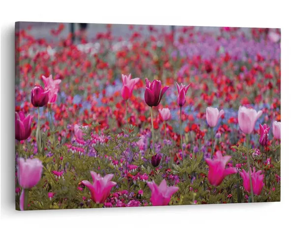 Multicolor_16_X_24_Inch,_Pine_Wood_Framed_Canvas_Paintings_|_For_Home_Decor,_Ready_To_Wall_Hanging,_Premium_Painting_|_For_|_Bedroom,_Living_Room,_Office_Wall_Decoration_|_Wall_Art_Painting,_Ct1702