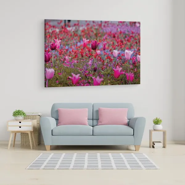 Multicolor_16_X_24_Inch,_Pine_Wood_Framed_Canvas_Paintings_|_For_Home_Decor,_Ready_To_Wall_Hanging,_Premium_Painting_|_For_|_Bedroom,_Living_Room,_Office_Wall_Decoration_|_Wall_Art_Painting,_Ct1702