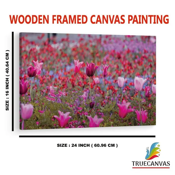 Multicolor_16_X_24_Inch,_Pine_Wood_Framed_Canvas_Paintings_|_For_Home_Decor,_Ready_To_Wall_Hanging,_Premium_Painting_|_For_|_Bedroom,_Living_Room,_Office_Wall_Decoration_|_Wall_Art_Painting,_Ct1702
