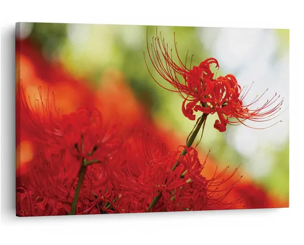 Multicolor_16_X_24_Inch,_Pine_Wood_Framed_Canvas_Paintings_|_For_Home_Decor,_Ready_To_Wall_Hanging,_Premium_Painting_|_For_|_Bedroom,_Living_Room,_Office_Wall_Decoration_|_Wall_Art_Painting,_Ct1703