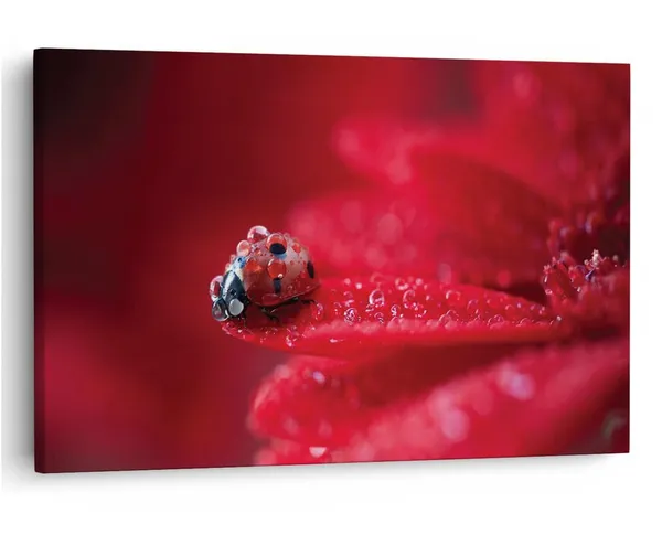 Multicolor_16_X_24_Inch,_Pine_Wood_Framed_Canvas_Paintings_|_For_Home_Decor,_Ready_To_Wall_Hanging,_Premium_Painting_|_For_|_Bedroom,_Living_Room,_Office_Wall_Decoration_|_Wall_Art_Painting,_Ct1704