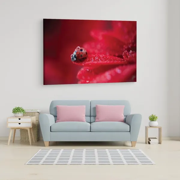 Multicolor_16_X_24_Inch,_Pine_Wood_Framed_Canvas_Paintings_|_For_Home_Decor,_Ready_To_Wall_Hanging,_Premium_Painting_|_For_|_Bedroom,_Living_Room,_Office_Wall_Decoration_|_Wall_Art_Painting,_Ct1704