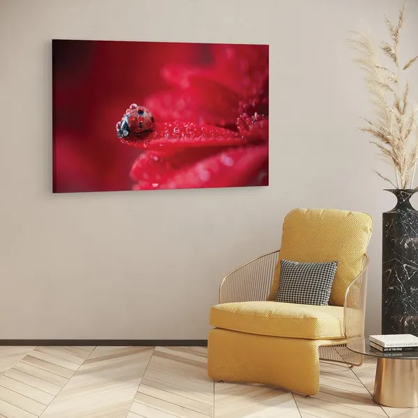 Multicolor_16_X_24_Inch,_Pine_Wood_Framed_Canvas_Paintings_|_For_Home_Decor,_Ready_To_Wall_Hanging,_Premium_Painting_|_For_|_Bedroom,_Living_Room,_Office_Wall_Decoration_|_Wall_Art_Painting,_Ct1704