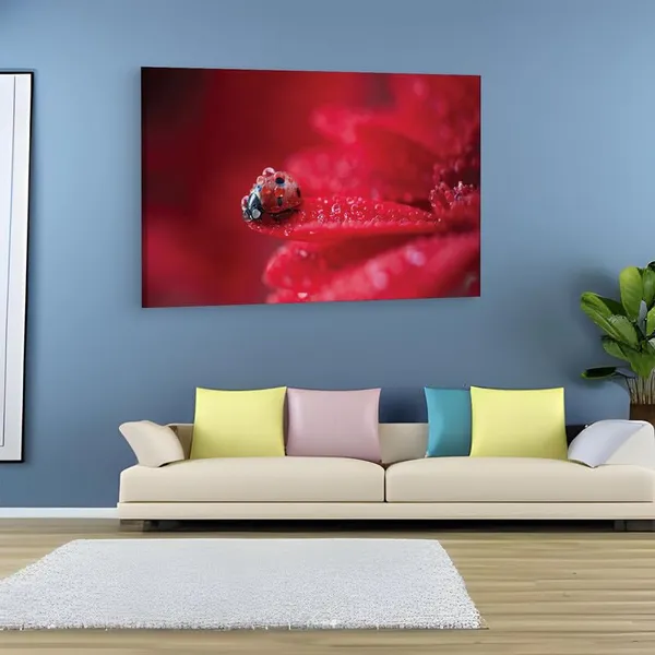 Multicolor_16_X_24_Inch,_Pine_Wood_Framed_Canvas_Paintings_|_For_Home_Decor,_Ready_To_Wall_Hanging,_Premium_Painting_|_For_|_Bedroom,_Living_Room,_Office_Wall_Decoration_|_Wall_Art_Painting,_Ct1704