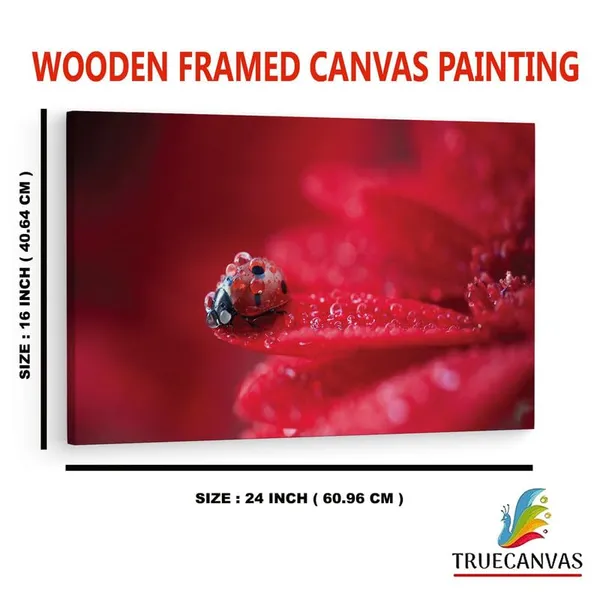 Multicolor_16_X_24_Inch,_Pine_Wood_Framed_Canvas_Paintings_|_For_Home_Decor,_Ready_To_Wall_Hanging,_Premium_Painting_|_For_|_Bedroom,_Living_Room,_Office_Wall_Decoration_|_Wall_Art_Painting,_Ct1704