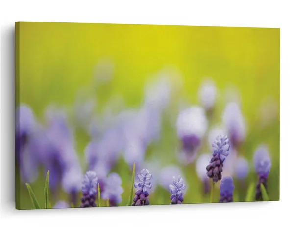 Multicolor_16_X_24_Inch,_Pine_Wood_Framed_Canvas_Paintings_|_For_Home_Decor,_Ready_To_Wall_Hanging,_Premium_Painting_|_For_|_Bedroom,_Living_Room,_Office_Wall_Decoration_|_Wall_Art_Painting,_Ct1708