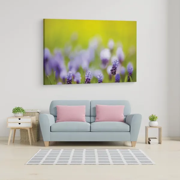 Multicolor_16_X_24_Inch,_Pine_Wood_Framed_Canvas_Paintings_|_For_Home_Decor,_Ready_To_Wall_Hanging,_Premium_Painting_|_For_|_Bedroom,_Living_Room,_Office_Wall_Decoration_|_Wall_Art_Painting,_Ct1708