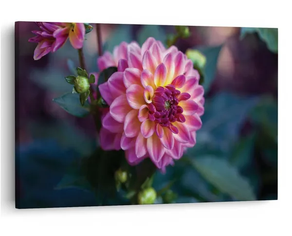 Multicolor_16_X_24_Inch,_Pine_Wood_Framed_Canvas_Paintings_|_For_Home_Decor,_Ready_To_Wall_Hanging,_Premium_Painting_|_For_|_Bedroom,_Living_Room,_Office_Wall_Decoration_|_Wall_Art_Painting,_Ct1710