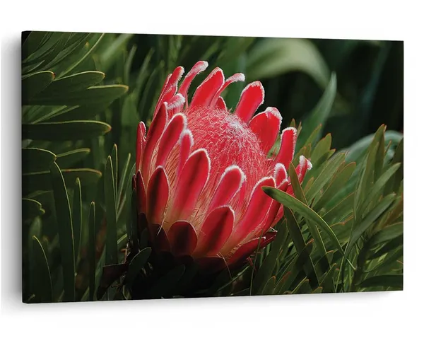 Multicolor_16_X_24_Inch,_Pine_Wood_Framed_Canvas_Paintings_|_For_Home_Decor,_Ready_To_Wall_Hanging,_Premium_Painting_|_For_|_Bedroom,_Living_Room,_Office_Wall_Decoration_|_Wall_Art_Painting,_Ct1712