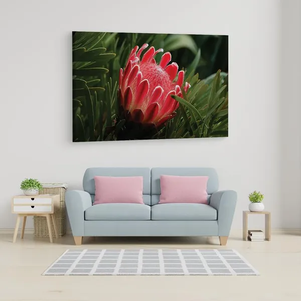 Multicolor_16_X_24_Inch,_Pine_Wood_Framed_Canvas_Paintings_|_For_Home_Decor,_Ready_To_Wall_Hanging,_Premium_Painting_|_For_|_Bedroom,_Living_Room,_Office_Wall_Decoration_|_Wall_Art_Painting,_Ct1712