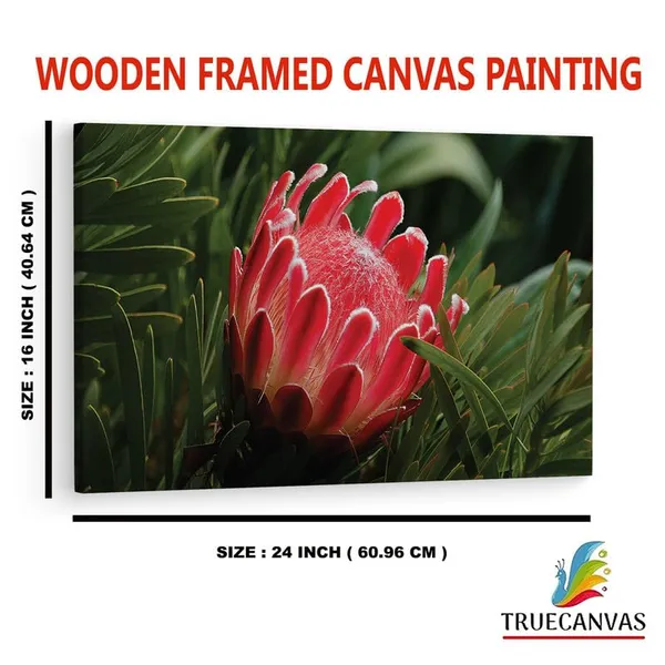 Multicolor_16_X_24_Inch,_Pine_Wood_Framed_Canvas_Paintings_|_For_Home_Decor,_Ready_To_Wall_Hanging,_Premium_Painting_|_For_|_Bedroom,_Living_Room,_Office_Wall_Decoration_|_Wall_Art_Painting,_Ct1712