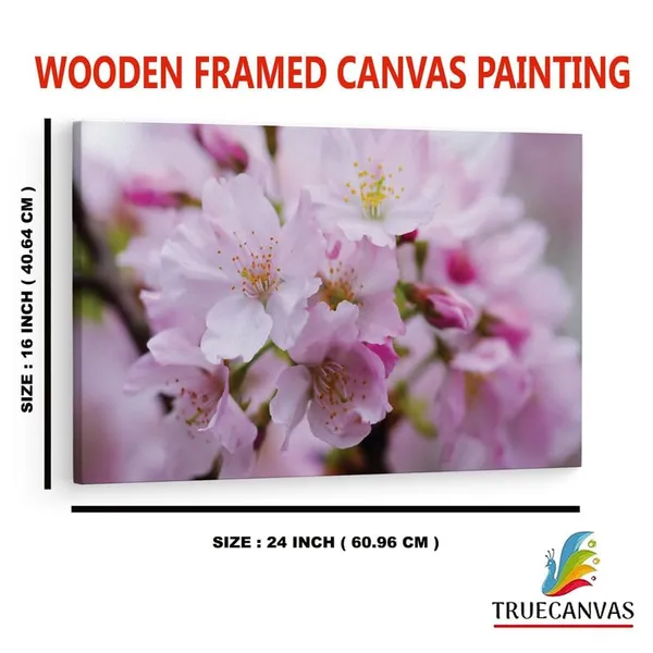 Multicolor_16_X_24_Inch,_Pine_Wood_Framed_Canvas_Paintings_|_For_Home_Decor,_Ready_To_Wall_Hanging,_Premium_Painting_|_For_|_Bedroom,_Living_Room,_Office_Wall_Decoration_|_Wall_Art_Painting,_Ct1714