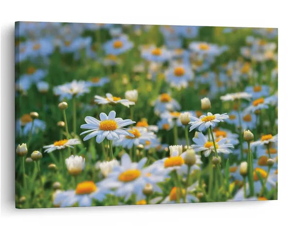 Multicolor_16_X_24_Inch,_Pine_Wood_Framed_Canvas_Paintings_|_For_Home_Decor,_Ready_To_Wall_Hanging,_Premium_Painting_|_For_|_Bedroom,_Living_Room,_Office_Wall_Decoration_|_Wall_Art_Painting,_Ct1715