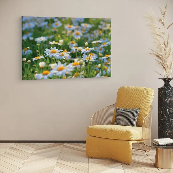 Multicolor_16_X_24_Inch,_Pine_Wood_Framed_Canvas_Paintings_|_For_Home_Decor,_Ready_To_Wall_Hanging,_Premium_Painting_|_For_|_Bedroom,_Living_Room,_Office_Wall_Decoration_|_Wall_Art_Painting,_Ct1715