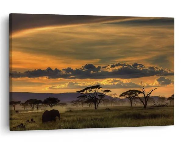 Multicolor_16_X_24_Inch,_Pine_Wood_Framed_Canvas_Paintings_|_For_Home_Decor,_Ready_To_Wall_Hanging,_Premium_Painting_|_For_|_Bedroom,_Living_Room,_Office_Wall_Decoration_|_Wall_Art_Painting,_Ct1716