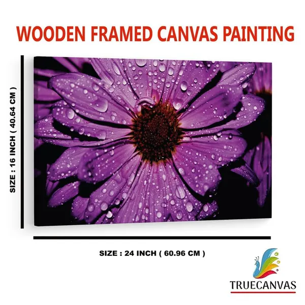 Multicolor_16_X_24_Inch,_Pine_Wood_Framed_Canvas_Paintings_|_For_Home_Decor,_Ready_To_Wall_Hanging,_Premium_Painting_|_For_|_Bedroom,_Living_Room,_Office_Wall_Decoration_|_Wall_Art_Painting,_Ct1718