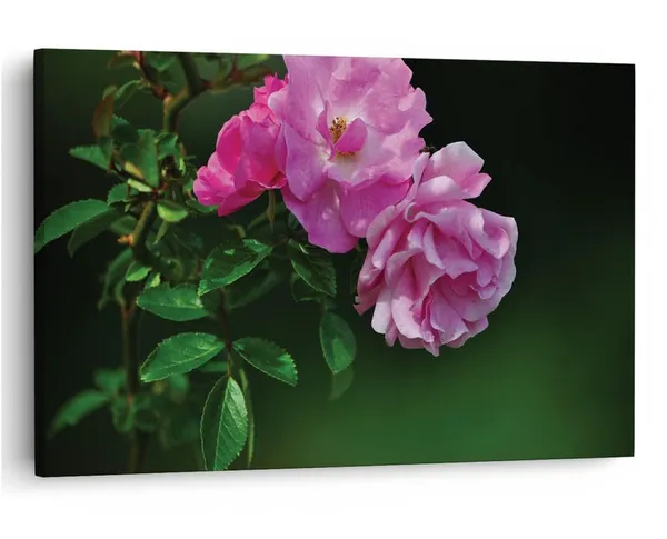 Multicolor_16_X_24_Inch,_Pine_Wood_Framed_Canvas_Paintings_|_For_Home_Decor,_Ready_To_Wall_Hanging,_Premium_Painting_|_For_|_Bedroom,_Living_Room,_Office_Wall_Decoration_|_Wall_Art_Painting,_Ct1720