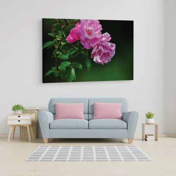 Multicolor_16_X_24_Inch,_Pine_Wood_Framed_Canvas_Paintings_|_For_Home_Decor,_Ready_To_Wall_Hanging,_Premium_Painting_|_For_|_Bedroom,_Living_Room,_Office_Wall_Decoration_|_Wall_Art_Painting,_Ct1720