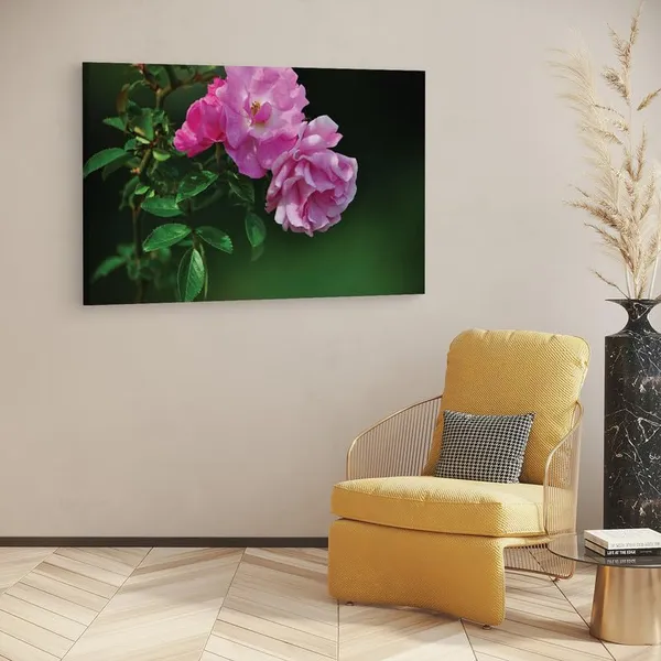 Multicolor_16_X_24_Inch,_Pine_Wood_Framed_Canvas_Paintings_|_For_Home_Decor,_Ready_To_Wall_Hanging,_Premium_Painting_|_For_|_Bedroom,_Living_Room,_Office_Wall_Decoration_|_Wall_Art_Painting,_Ct1720