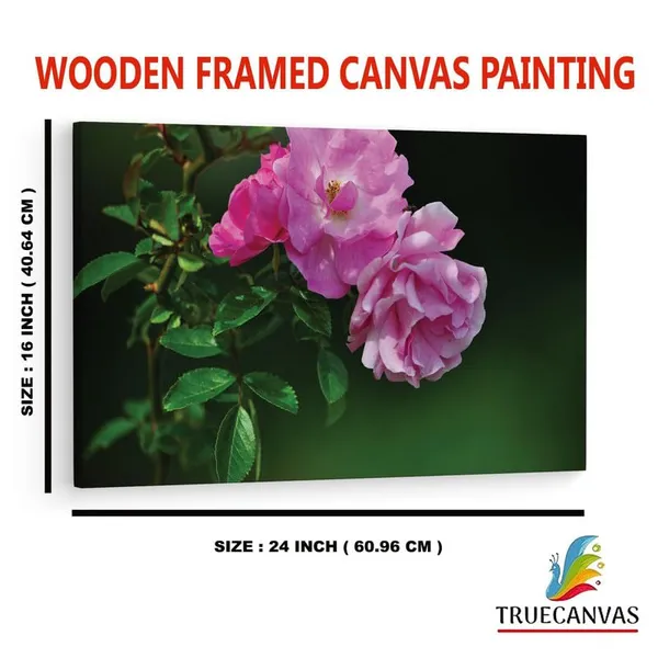 Multicolor_16_X_24_Inch,_Pine_Wood_Framed_Canvas_Paintings_|_For_Home_Decor,_Ready_To_Wall_Hanging,_Premium_Painting_|_For_|_Bedroom,_Living_Room,_Office_Wall_Decoration_|_Wall_Art_Painting,_Ct1720