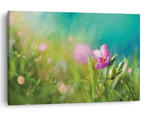 Multicolor_16_X_24_Inch,_Pine_Wood_Framed_Canvas_Paintings_|_For_Home_Decor,_Ready_To_Wall_Hanging,_Premium_Painting_|_For_|_Bedroom,_Living_Room,_Office_Wall_Decoration_|_Wall_Art_Painting,_Ct1721