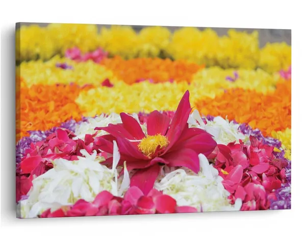 Multicolor_16_X_24_Inch,_Pine_Wood_Framed_Canvas_Paintings_|_For_Home_Decor,_Ready_To_Wall_Hanging,_Premium_Painting_|_For_|_Bedroom,_Living_Room,_Office_Wall_Decoration_|_Wall_Art_Painting,_Ct1724