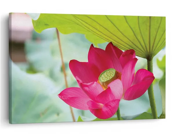 Multicolor_16_X_24_Inch,_Pine_Wood_Framed_Canvas_Paintings_|_For_Home_Decor,_Ready_To_Wall_Hanging,_Premium_Painting_|_For_|_Bedroom,_Living_Room,_Office_Wall_Decoration_|_Wall_Art_Painting,_Ct1725