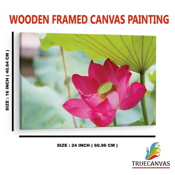Multicolor_16_X_24_Inch,_Pine_Wood_Framed_Canvas_Paintings_|_For_Home_Decor,_Ready_To_Wall_Hanging,_Premium_Painting_|_For_|_Bedroom,_Living_Room,_Office_Wall_Decoration_|_Wall_Art_Painting,_Ct1725