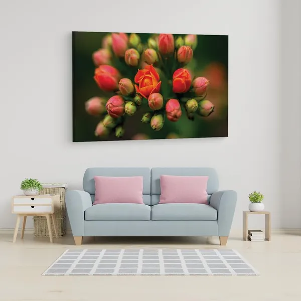 Multicolor_16_X_24_Inch,_Pine_Wood_Framed_Canvas_Paintings_|_For_Home_Decor,_Ready_To_Wall_Hanging,_Premium_Painting_|_For_|_Bedroom,_Living_Room,_Office_Wall_Decoration_|_Wall_Art_Painting,_Ct1726
