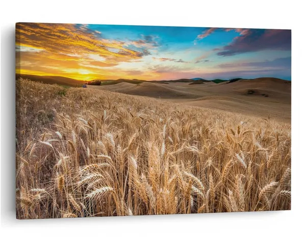 Multicolor_16_X_24_Inch,_Pine_Wood_Framed_Canvas_Paintings_|_For_Home_Decor,_Ready_To_Wall_Hanging,_Premium_Painting_|_For_|_Bedroom,_Living_Room,_Office_Wall_Decoration_|_Wall_Art_Painting,_Ct1727