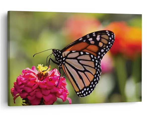 Multicolor_16_X_24_Inch,_Pine_Wood_Framed_Canvas_Paintings_|_For_Home_Decor,_Ready_To_Wall_Hanging,_Premium_Painting_|_For_|_Bedroom,_Living_Room,_Office_Wall_Decoration_|_Wall_Art_Painting,_Ct1729