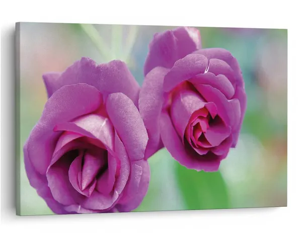 Multicolor_16_X_24_Inch,_Pine_Wood_Framed_Canvas_Paintings_|_For_Home_Decor,_Ready_To_Wall_Hanging,_Premium_Painting_|_For_|_Bedroom,_Living_Room,_Office_Wall_Decoration_|_Wall_Art_Painting,_Ct1730
