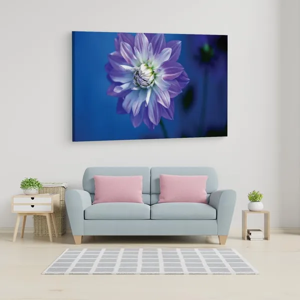 Multicolor_16_X_24_Inch,_Pine_Wood_Framed_Canvas_Paintings_|_For_Home_Decor,_Ready_To_Wall_Hanging,_Premium_Painting_|_For_|_Bedroom,_Living_Room,_Office_Wall_Decoration_|_Wall_Art_Painting,_Ct1731