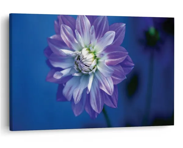 Multicolor_16_X_24_Inch,_Pine_Wood_Framed_Canvas_Paintings_|_For_Home_Decor,_Ready_To_Wall_Hanging,_Premium_Painting_|_For_|_Bedroom,_Living_Room,_Office_Wall_Decoration_|_Wall_Art_Painting,_Ct1731