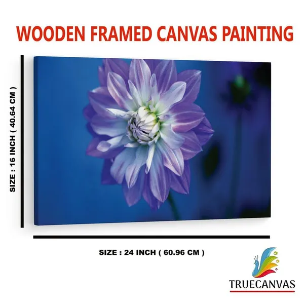 Multicolor_16_X_24_Inch,_Pine_Wood_Framed_Canvas_Paintings_|_For_Home_Decor,_Ready_To_Wall_Hanging,_Premium_Painting_|_For_|_Bedroom,_Living_Room,_Office_Wall_Decoration_|_Wall_Art_Painting,_Ct1731