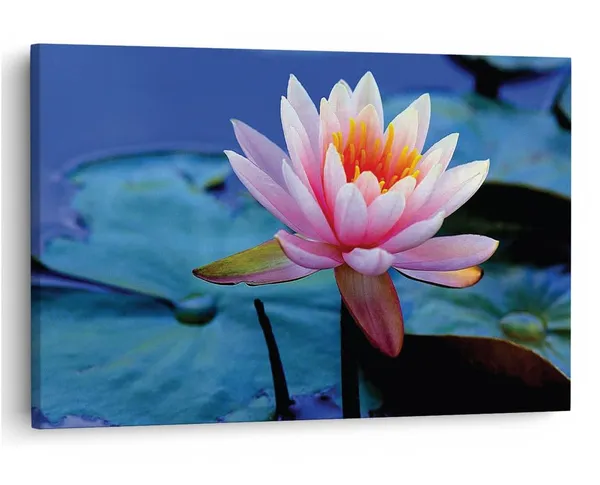 Multicolor_16_X_24_Inch,_Pine_Wood_Framed_Canvas_Paintings_|_For_Home_Decor,_Ready_To_Wall_Hanging,_Premium_Painting_|_For_|_Bedroom,_Living_Room,_Office_Wall_Decoration_|_Wall_Art_Painting,_Ct1732